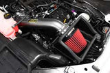 AEM Brute Force Intake 2015-2018 Ford F-150 5.0 V8